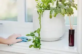 Städning av fönsterbräda